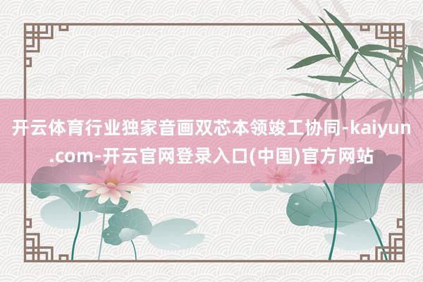 开云体育行业独家音画双芯本领竣工协同-kaiyun.com-开云官网登录入口(中国)官方网站