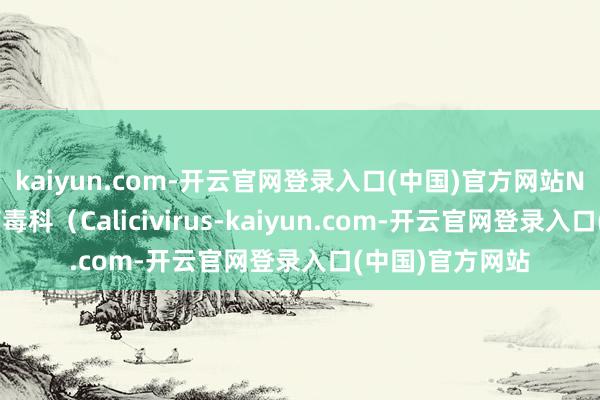 kaiyun.com-开云官网登录入口(中国)官方网站NV）属于杯状病毒科（Calicivirus-kaiyun.com-开云官网登录入口(中国)官方网站