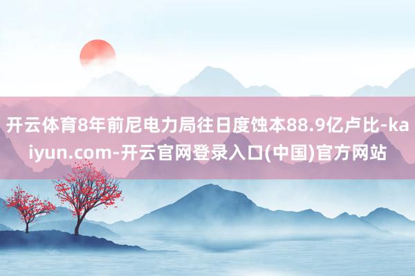 开云体育8年前尼电力局往日度蚀本88.9亿卢比-kaiyun.com-开云官网登录入口(中国)官方网站
