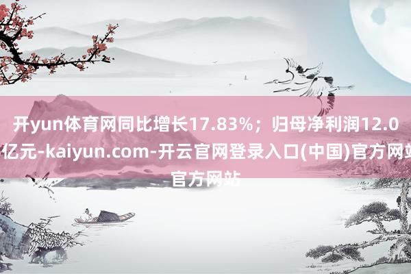 开yun体育网同比增长17.83%；归母净利润12.04亿元-kaiyun.com-开云官网登录入口(中国)官方网站