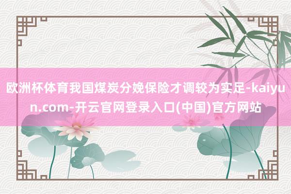 欧洲杯体育我国煤炭分娩保险才调较为实足-kaiyun.com-开云官网登录入口(中国)官方网站