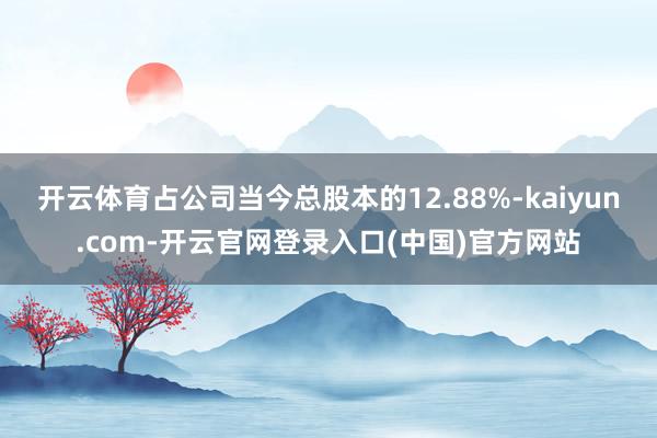 开云体育占公司当今总股本的12.88%-kaiyun.com-开云官网登录入口(中国)官方网站
