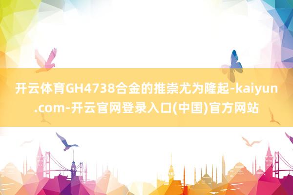 开云体育GH4738合金的推崇尤为隆起-kaiyun.com-开云官网登录入口(中国)官方网站