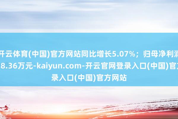 开云体育(中国)官方网站同比增长5.07%；归母净利润为9738.36万元-kaiyun.com-开云官网登录入口(中国)官方网站