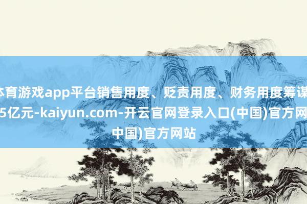 体育游戏app平台销售用度、贬责用度、财务用度筹谋1.25亿元-kaiyun.com-开云官网登录入口(中国)官方网站